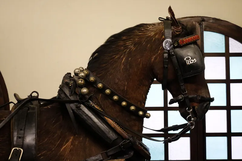 Cabeza de caballo guarnecido con cascabeles