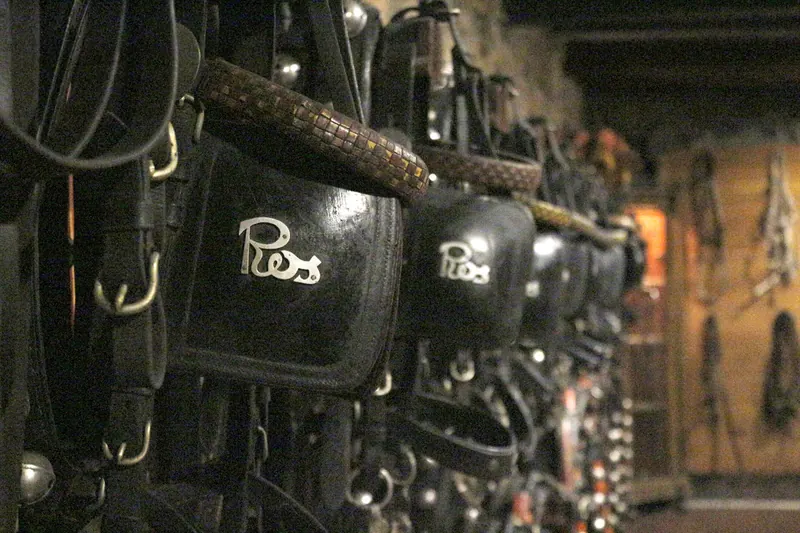 Ulleres de cuir amb el cognom Ros